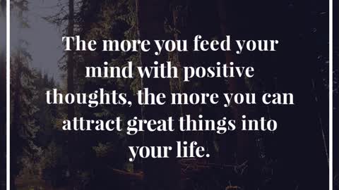 The More You Feed Your Mind
