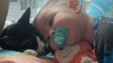 Cat take cares of baby
