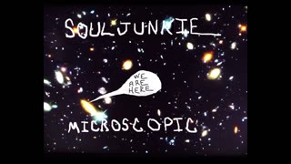 Microscopic by Souljunkie (with lyrics)