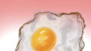 fried egg