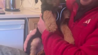 Vocal Pup Makes The Cutest Sounds You''ll Ever Hear