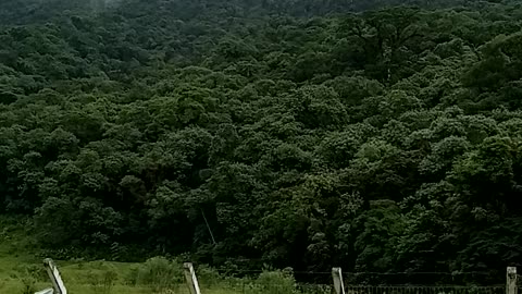 Waterfall of Pirai Joinville Brazil