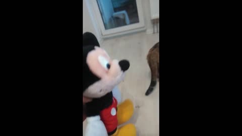 Mickey Mouse VS Cat