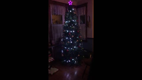 An Angle Came Down 2019 Christmas Tree.