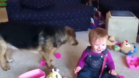 TOP 10 BABIES AND DOG PLAYING