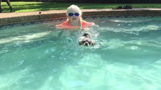Chihuahua Swimming