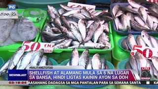 Shellfish at alamang mula sa 6 na lugar sa bansa, hindi ligtas kainin ayon sa DOH