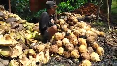 Opening of coconut