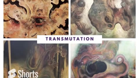 Transmutation Series