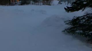 Snow Slide Stretches Across Multiple Backyards