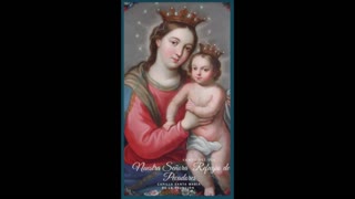 Fr Hewko, Queenship of Mary, May 31, 2021 "Ignorance Is Not An Excuse Before God!" (Atlanta)