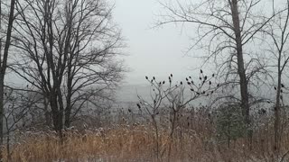 Beautiful light snow falling down on the river