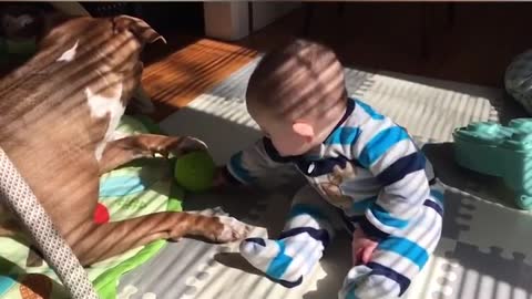 funny baby w/dog