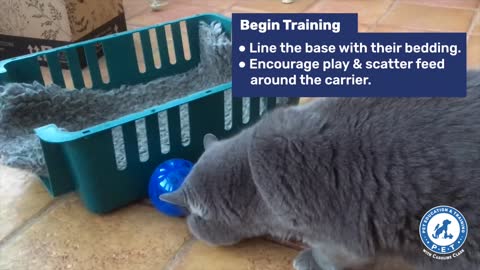 How to train your cat to accept their carrier