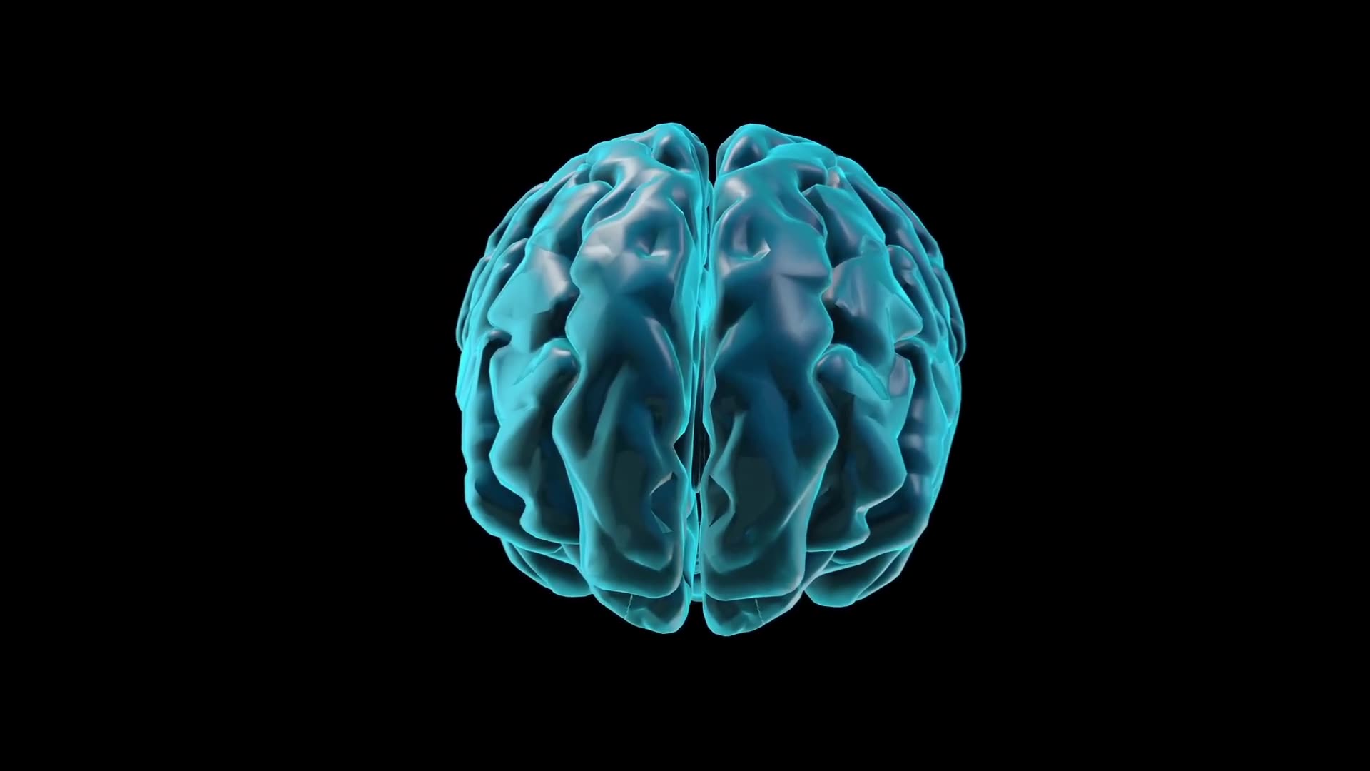 The brains video