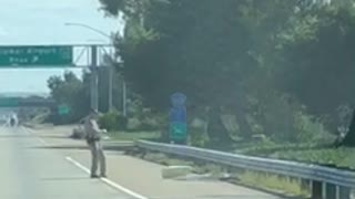 Police officer removes surfboard from middle of highway
