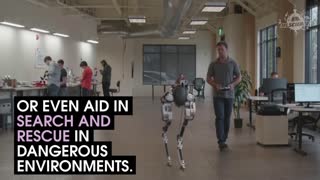 Meet Cassie, The Walking Robot Without A Body