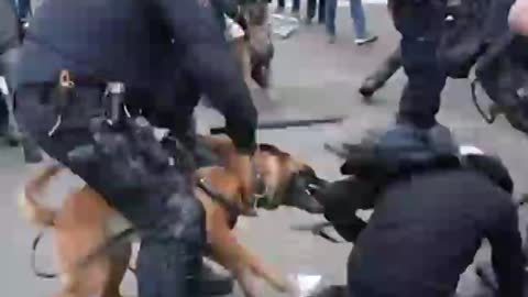 Police violence