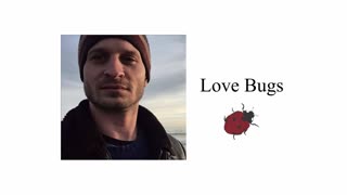 Love Bugs (Short Version)