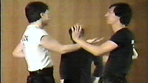 original wing chun by IP Chun