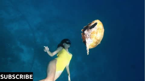 Woman swimming underwater with turtle in pristine blue ocean water