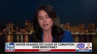 Gabbard: 'DC elite' controlling narrative on Biden family dealings