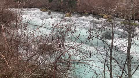 Turquoise Aquamarine Section of Metolius River – Central Oregon