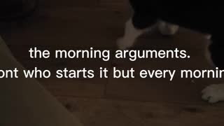 Morning arguments
