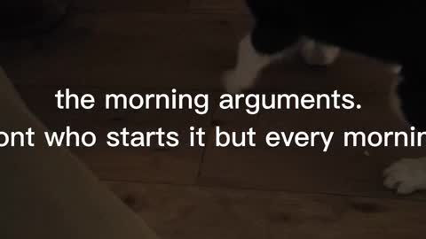 Morning arguments