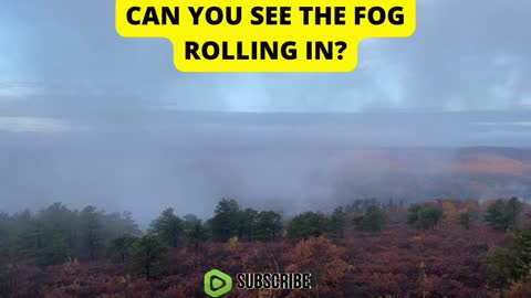 Watch the Fog Roll In