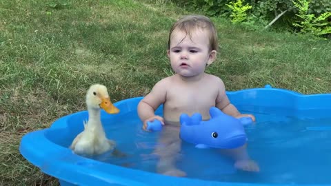 Funny baby reaction to duckling in the pool!