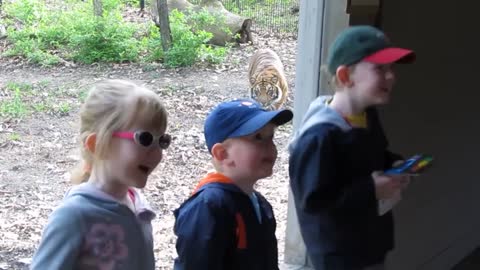 You cant stop laughing as funny kids goes to the zoo