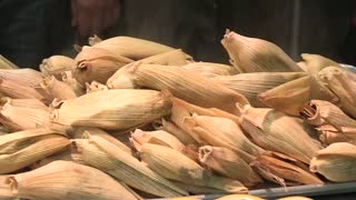 Tamales con insectos son una nueva propuesta para revalorar campo mexicano