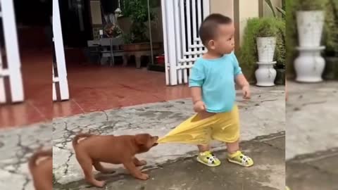 A dog that acts badly on its owner