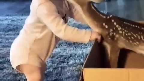 Cute 👶 baby playing with dear