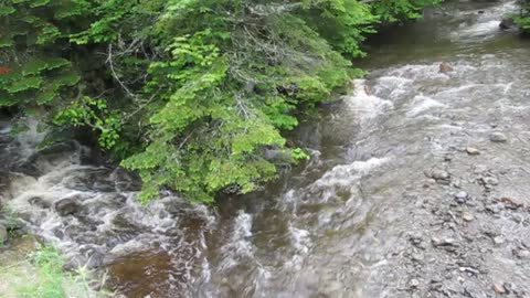 A little Vermont brook coolness for these hot days!