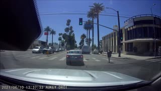 Driver Stops to Help Save Puppy Wandering in Traffic