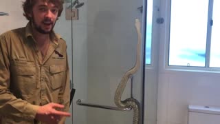 Family Find Snake in Their Shower