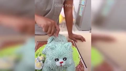 These Cats Reaction to Cutting Cake is priceless - Funny Dog Cake Reaction Compilation