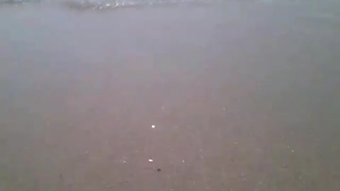 Filming the beach up close, the sea and waves were agitated [Nature & Animals]