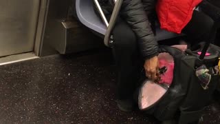 Woman feeding pink bird in cage bag subway