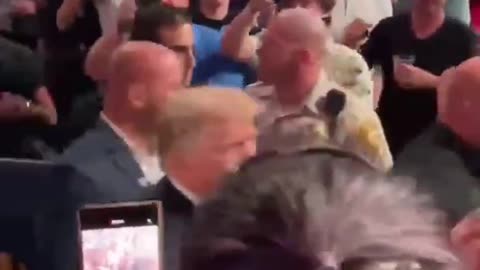 "USA!" - Crowd Erupts as Trump Attends UFC Fight