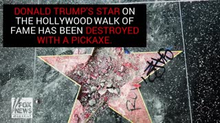 City Council Passes Resolution To Remove Trump Star From Walk Of Fame