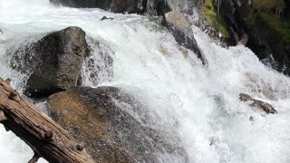 Flathead national Forrest