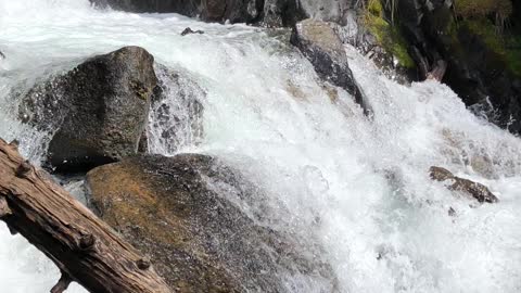 Flathead national Forrest