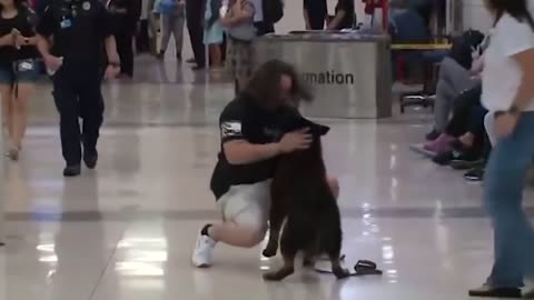 Heart breaking love, dog, lion and monkey Reunited with Owners after Years showing reaction.