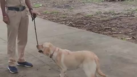 Police #Dog Performs dast