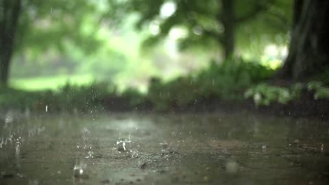 {Slow Motion} Rain stock Footage