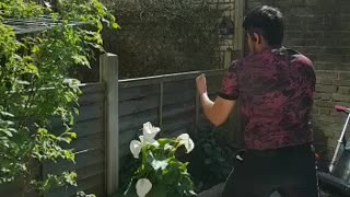 Boxing in my garden