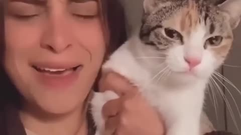 Funny cat meme compilation